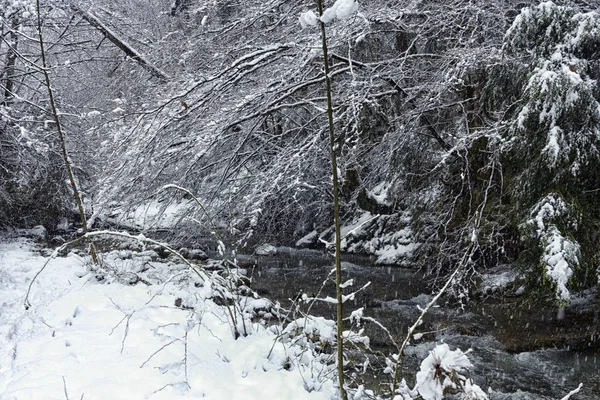 Дикая Река Снежном Ландшафте — стоковое фото
