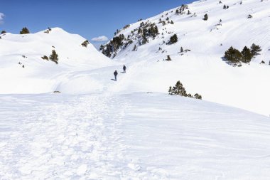 pyrenees karlı manzarada