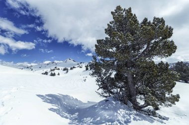 pyrenees karlı manzarada