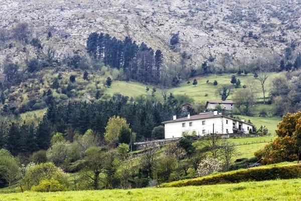 Landschaft Der Berge Des Baskenlandes — Stockfoto