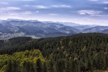 Bask Ülkesi yeşil peyzaj