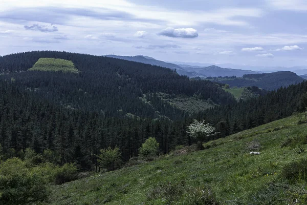 Grüne Landschaft Baskenland — Stockfoto