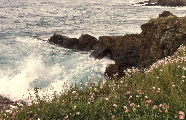 Vue Sur Côte Lugo — Photo