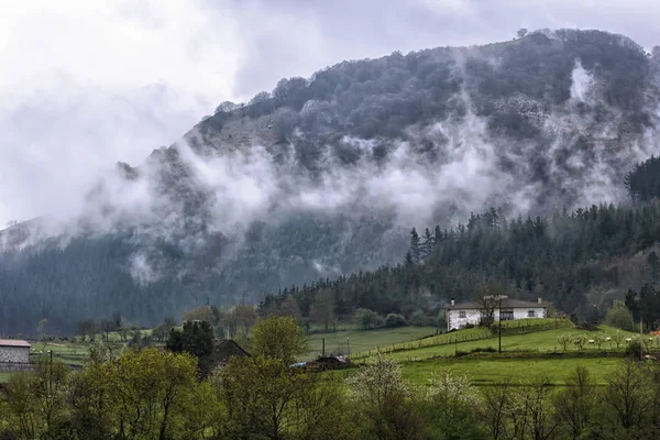 Krajina Baskicku — Stock fotografie