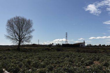 tudela batımında grupta