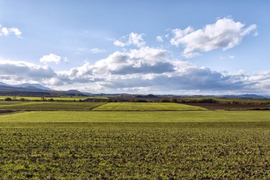 Bask Ülkesi içinde kırsal manzara