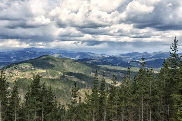 Ormanda Kurtlar Vadisi