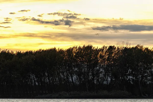Bir Göl Günbatımı Manzara — Stok fotoğraf
