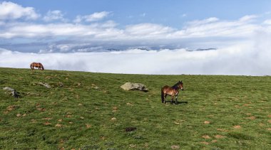 İspanyol Pirenelerde manzara