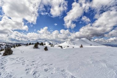 pyrenees karlı manzarada