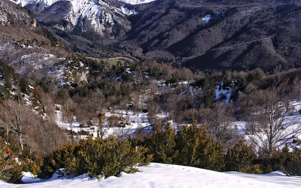 Snedækket Landskab Pyrenæerne - Stock-foto