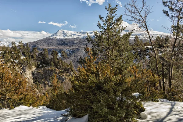 Paysage Enneigé Aux Pyrénées — Photo