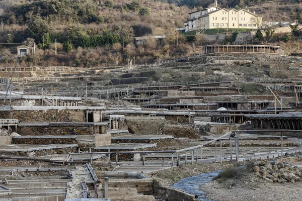 Salinas Anana Bask Ülkesi Içinde — Stok fotoğraf