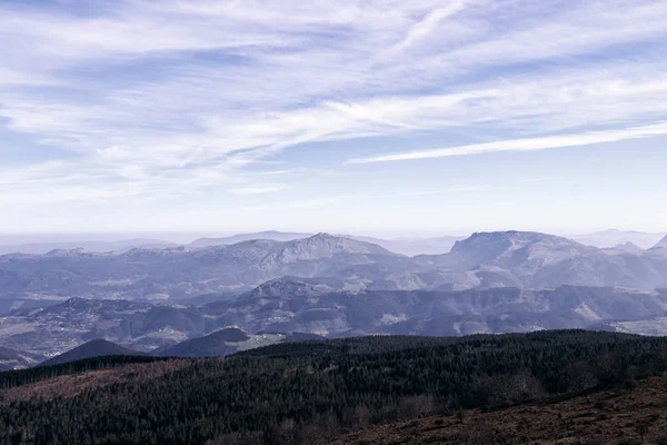 Bizkaia Bağlarında Manzara — Stok fotoğraf