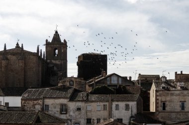 caceres şehrinin görünümü