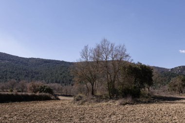 İspanya'nın Kuzey manzara