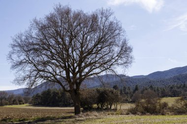 İspanya'nın Kuzey manzara