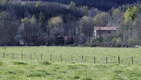 Krajina Baskicku — Stock fotografie