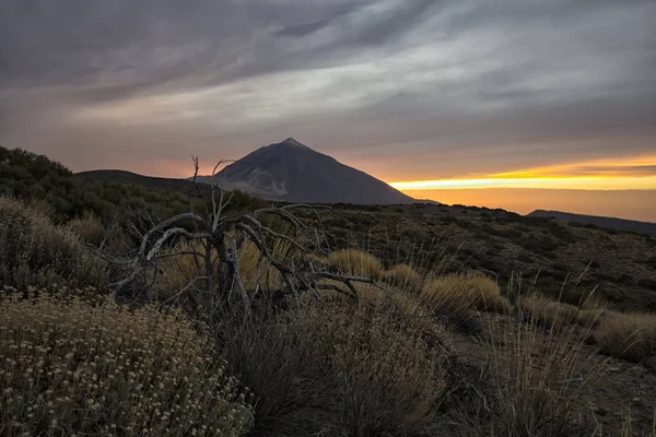 Volcán Teida Atardecer —  Fotos de Stock