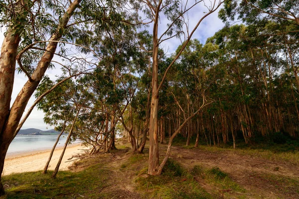 View Beach Sunset — Stock Photo, Image