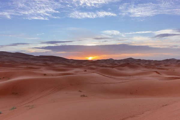 Sahara Çölünde Gün Batımında Manzara — Stok fotoğraf