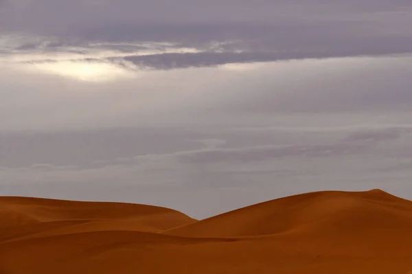 Krajina Při Západu Slunce Saharské Poušti — Stock fotografie