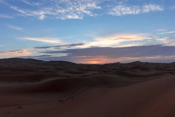 Краєвид Заході Сонця Пустелі Сахара — стокове фото