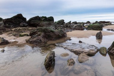 Bask bölgesindeki kayalık plaj.