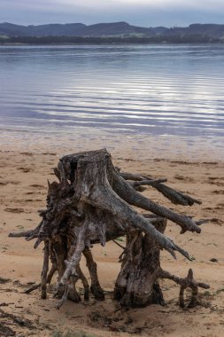 Gün batımında kumsal manzarası