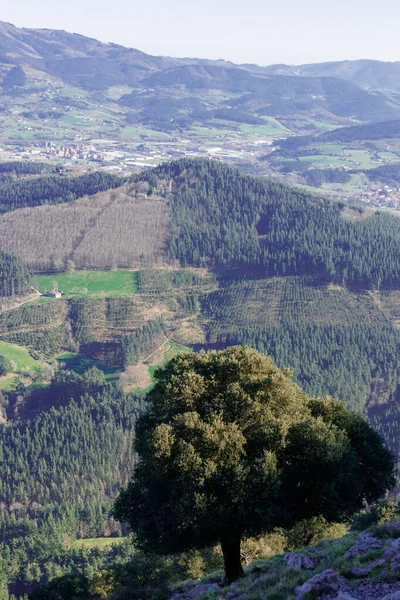 Krajina Hor Baskicku — Stock fotografie