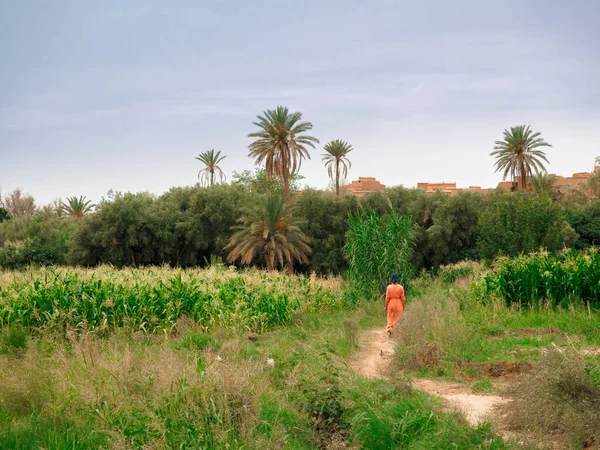 Plantage Atlas Marokko — Stockfoto