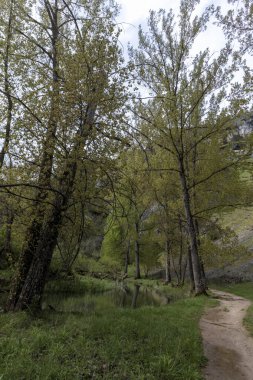 Canlı yeşillikler ve sakin sularda gezinen manzara yolu, Ucero 'nun doğal güzelliğinde keşif ve sükuneti davet ediyor.