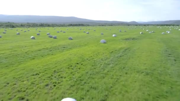 Drone conducts video shooting on agricultural fields where I harvest hay. — Stock Footage Drone Conducts Video Shooting Agricultural Fields Harvest Hay Royalty Free Stock Footage