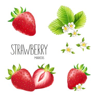 Çilek beyaz arka plan üzerinde. Alkol işaretleyicilerini yapılan eskiz. Tebrik kartları, posterler ve tasarım projeleri için kullanabilirsiniz