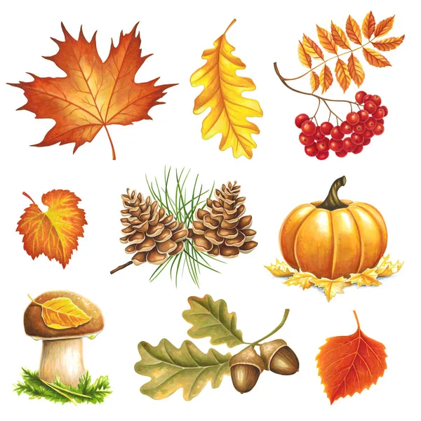 Autumn Items Painted Markers White Background You Can Use Greeting — Stock Photo, Image