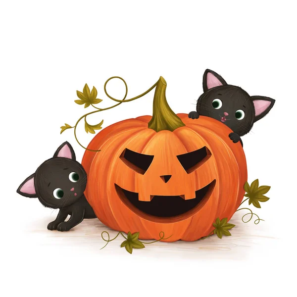 Kittens play with Halloween pumpkin — Stock Photo, Image