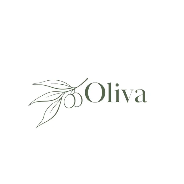 Oliva Logo Vector Logo Vorlage Für Blumenladen Design Naturkosmetik Schönheitssalon — Stockvektor