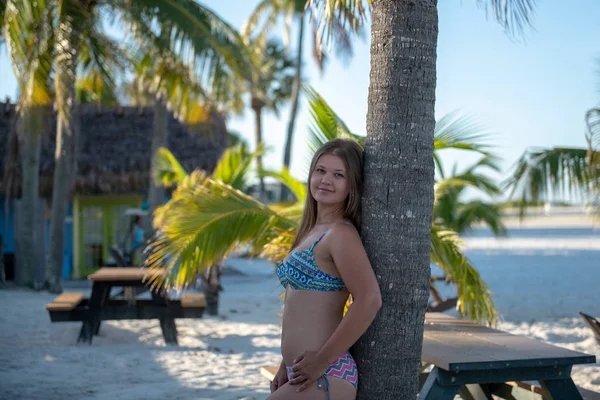 Young girl in bikini beside the palm tree — Stock Photo, Image