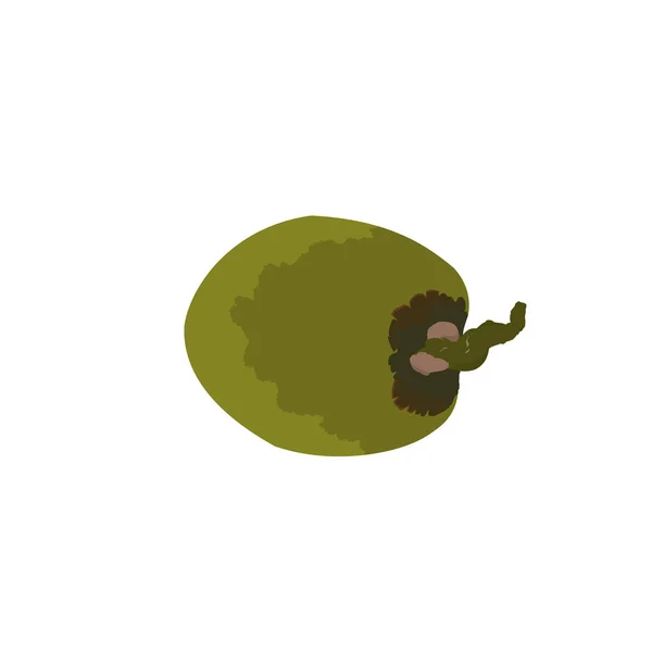 Ikona Trophical Ovoce Izolované Čerstvý Zelený Kokos — Stockový vektor
