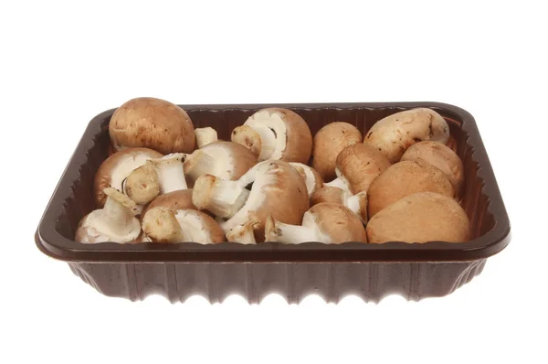 Cogumelos Castanha Botão Uma Caixa Plástico Isolado Contra Branco — Fotografia de Stock