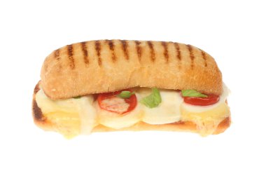 Üç peynirli Panini, kaşar, Mozzarella ve Edam, fesleğen ve beyaz karşı izole domates