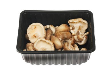 Beyaz karşı izole bir plastik kutu Shitake mantarlar
