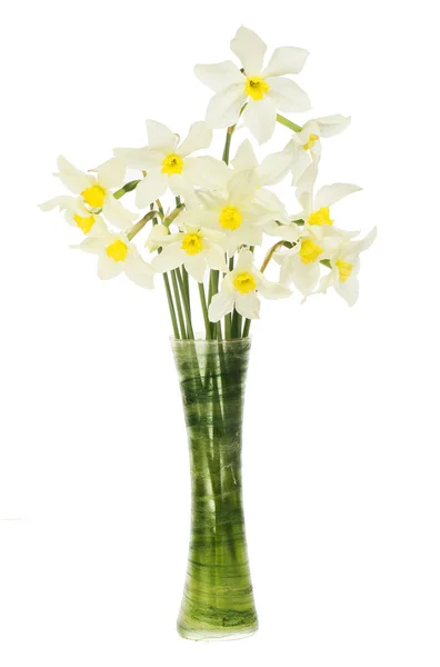 Pale daffodils in a vase — Stock Photo, Image