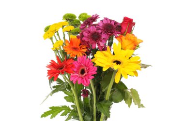 Çiçek düzeni beyaza karşı izole