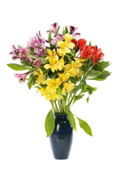 Uspořádání Alstroemerijních Květin Váze Izolované Proti Bílé — Stock fotografie