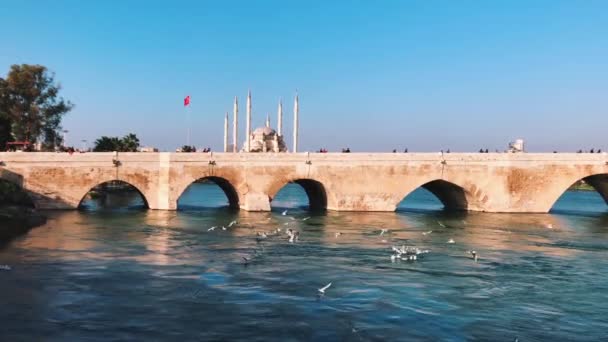 Sabanci Central moskee en Turkse vlag in Adana, Seyhan stad van Turkije. — Stockvideo