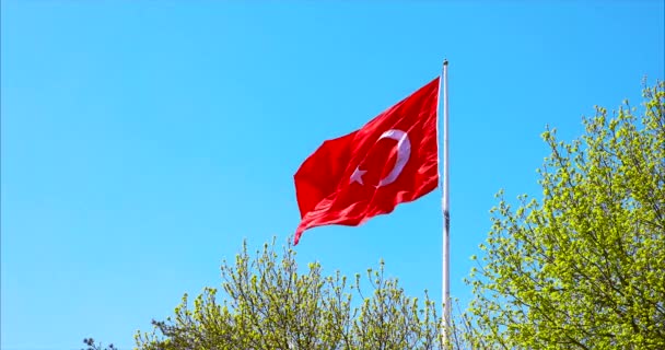 Bandera turca ondeando en el cielo azul . — Vídeo de stock