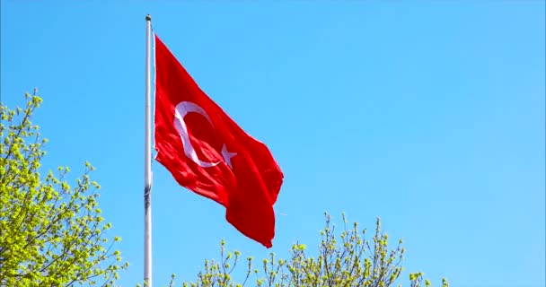 Turkse vlag zwaaiende bij Blue Sky. — Stockvideo