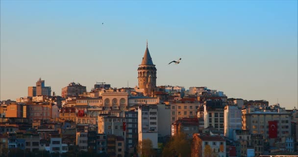 Galata Tower in istanbul City of Turkey. — Stock Video