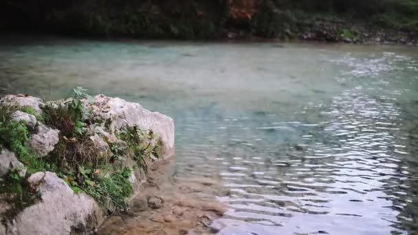 丛林景观与流水瀑布在深热带雨林 — 图库视频影像